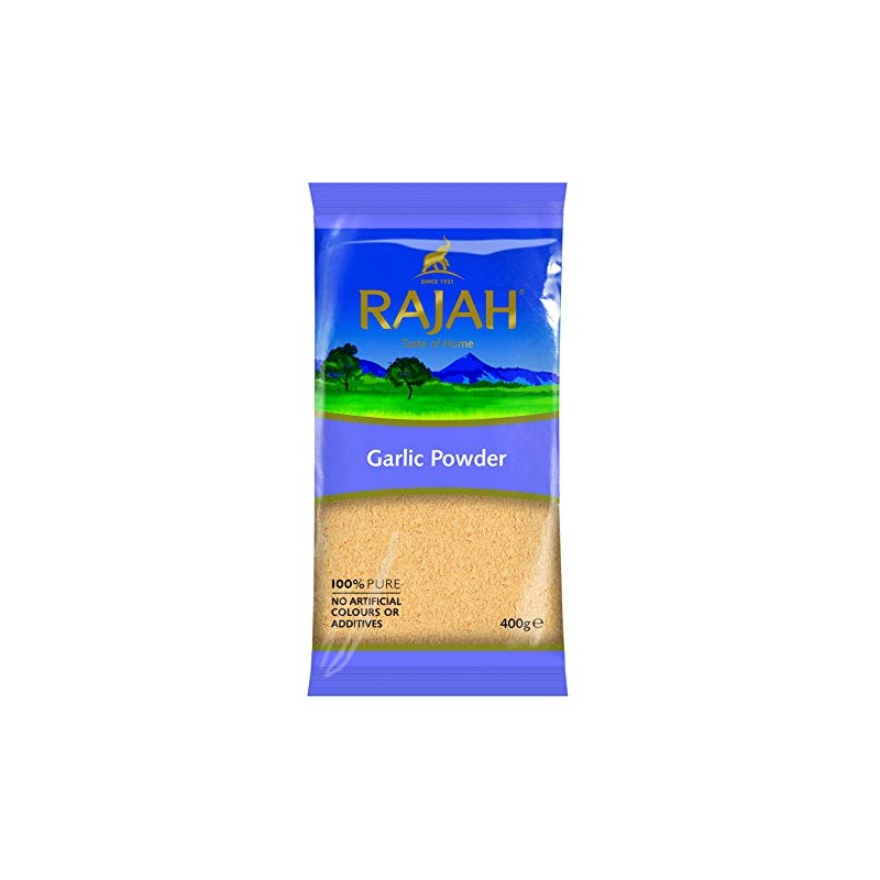 RAJ GARLIC POWDER 400G