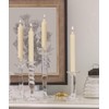 Root Candles 4-Count Unscented Dinner Candles Dripless Beeswax Enhanced Timberline™