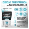 Pack Creatina Monohidratada Micronizada Polvo 100 Alta Pureza Certificada Sabor