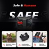 Tiniest Cat Shock Collar, Lightest Cat Training Collar with Remote