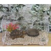 OMEM Reptile Natural Bowl Food and Water Dish Resin Made