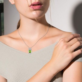 WINNICACA Women's Owl Necklace S925 Sterling Silver with Birthstone Pendant Cute Animals Jewellery Gifts for Women Girls Owl Lovers, Sterling Silver, Cubic Zirconia