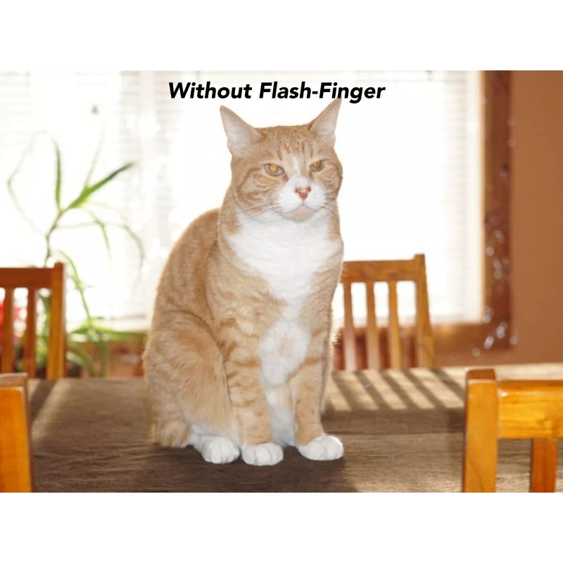 Flash Finger Sony A6000 flash finger ( bounce card effect)