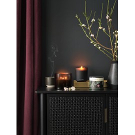 Illume Beautifully Done Essentials BlackBerry Absinthe Vanity Tin Scented Candle, 11 Ounce