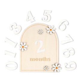 1 Suit Baby Monthly Milestone Cards with Glue Points Flower-Styled Baby Monthly Milestone Markers, 11 Wooden Numbers, Photo Props for Infant 12 Months, Shower Gift