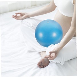 GRIRIW Yoga Ball Small Exercise Ball for Home Workout Material for Stability and Includes Pump for Yoga and Physical Therapy