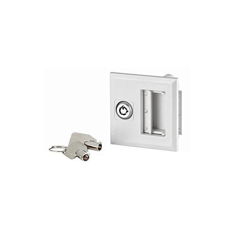 Leviton LDRLK Load Center Door Padlock Kit for NEMA 1