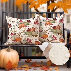 RABUSOFA Fall Pillow Covers 18x18 Inch Set of 2,Pumpkin Decorations Throw Pillows,Outdoor Autumn Thanksgiving Decor Cushion Covers for Sofa Patio Furniture Garden Living Room Waterproof (03-18)