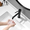 phiestina Bathroom Sink Faucet, Vanity Faucet with Water Supply Lines