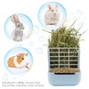 Litewoo Rabbit Hay Feeder Guinea Pig Feeder, 2 in 1