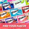 Trident Island Berry Lime Sugar-Free Chewing Gum, 12 Packs of