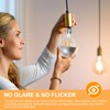 Owilukie Half Silver Chrome Light Bulb 6W (60W Equivalent), Dimmable