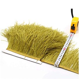 36 Colours Quality Ostrich Feather Trimming Fringe for Millinery Craft Dress Making (Ginger,2 Meters)