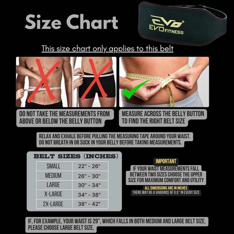 EVO Fitness 6" Pure Leather Weight Lifting Gym belts Back