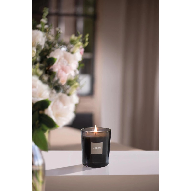 Esteban Ambre Scented Candle 170gm