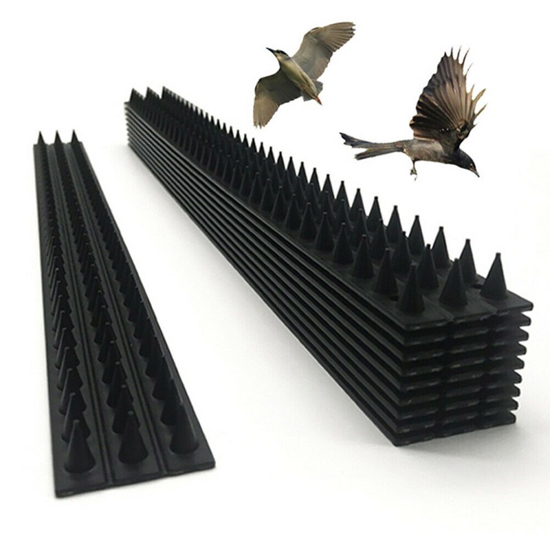 10Pcs Anti Bird Thorn Fence Wall Spike Repellent Nail Deterrent