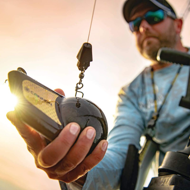 Cannon Terminator Kit