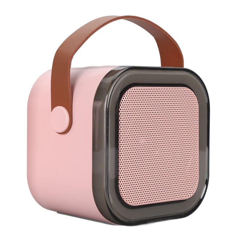 Portable Karaoke Machine LED Dynamic Light Small Bluetooth Speaker with