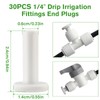 Kalolary 30 Pack 1/4" End Plugs for Quick Connect 1/4"