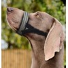 Dog Muzzle,Nylon Adjustable Anti-Bite Barking and Chewing Dog Muzzle with