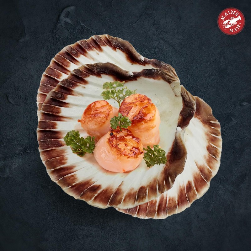 Maine Man Natural Baking Shells, 3.75-Inches, Set of 4