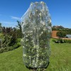 Fruit Tree Protection Bags 8.5x8.5 FT | Multiple Size Garden