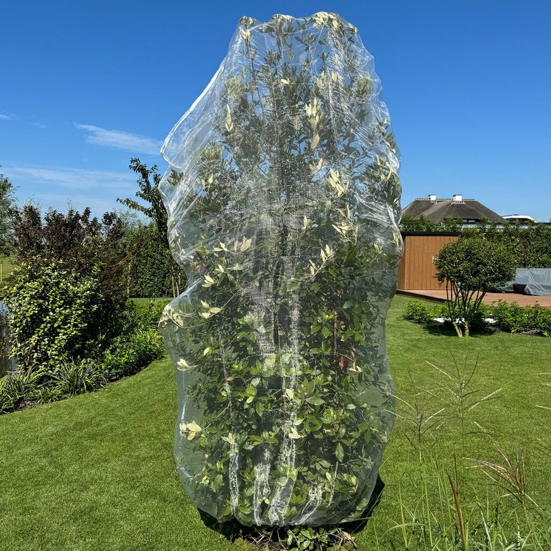 Fruit Tree Protection Bags 8.5x8.5 FT | Multiple Size Garden