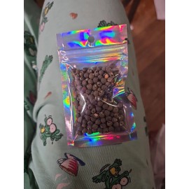 Fresh 12g CLEMSON OKRA NON-GMO SEEDS