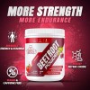 Bear Grips Organic Beet Root Powder - Nitric Oxide Supplement