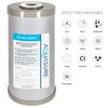 Fortitude V2 Series Sediment/Carbon/Zinc Bacteria Inhibiting Triple Purpose Replacement Filter