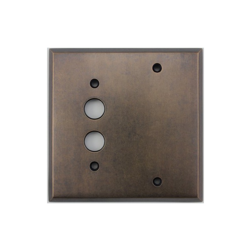 Aged Antique Brass 2 Gang Combination Switch Plate - 1