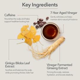 107 Champú Clarificante - Champú Purificante Para Cuero Cabelludo Con Acumulación De Suciedad Grasa Picazón Y Sequedad - Vinagre Fermentado Y Ginseng Para Un Cuero Cabelludo Fresco Y Revital