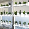 3-Tier Hanging Clear Plant Shelves for Windows, Acrylic Window Wall