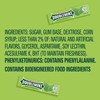 WRIGLEY'S DOUBLEMINT Chewing Gum Bulk Pack, 5 Stick (Pack of