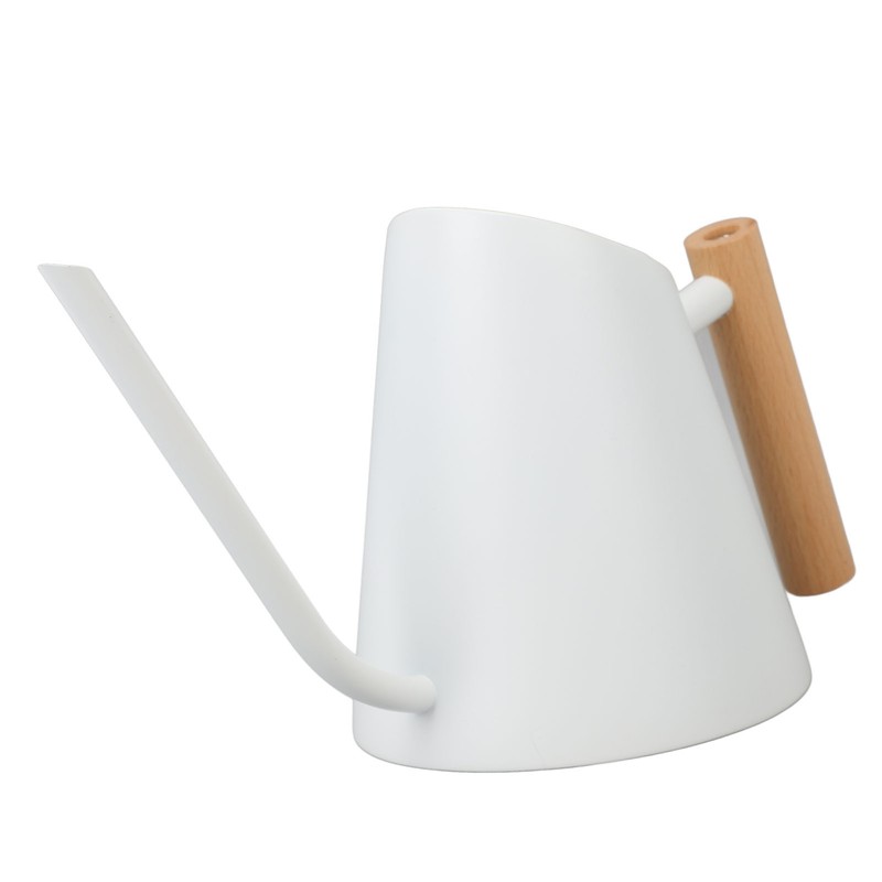 Watering Can with Long Spout 800ml Stainless Steel Matte Indoor