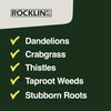 Rocklin™ Stand Up Weed Puller Tool - 4 Claw Steel