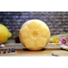 Landseife Organic Shaving Soap Lemon - Handmade Organic Natural Soap