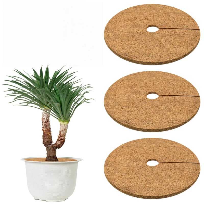 3Pack Coconut Fiber Mulch Ring, 14 Inch Coco Coir Tree