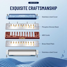 East Top 10 Holes 20 Tones 008K Diatonic Harmonica Key of Ab with Blue Case, Standard Harmonicas for Adults, Professional Players and Students