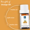 GM Gumili Orange Essential Oil - Pure Organic Oil for