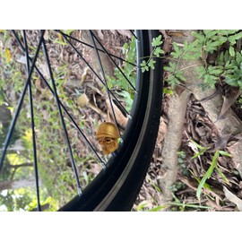 Temzzer Skull Air Tire Valve Caps 4PCS Car Tyre Air Rim Covers Tire Stem Caps for Most Vehicles Bicycles Motorcycles,Copper