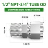 TAISHER 1PCS 304 Stainless Steel Compression Tube Pipe Fitting Connector,