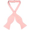 Vesuvio Napoli SELF TIE Bow Tie Solid DUSTY PINK Color