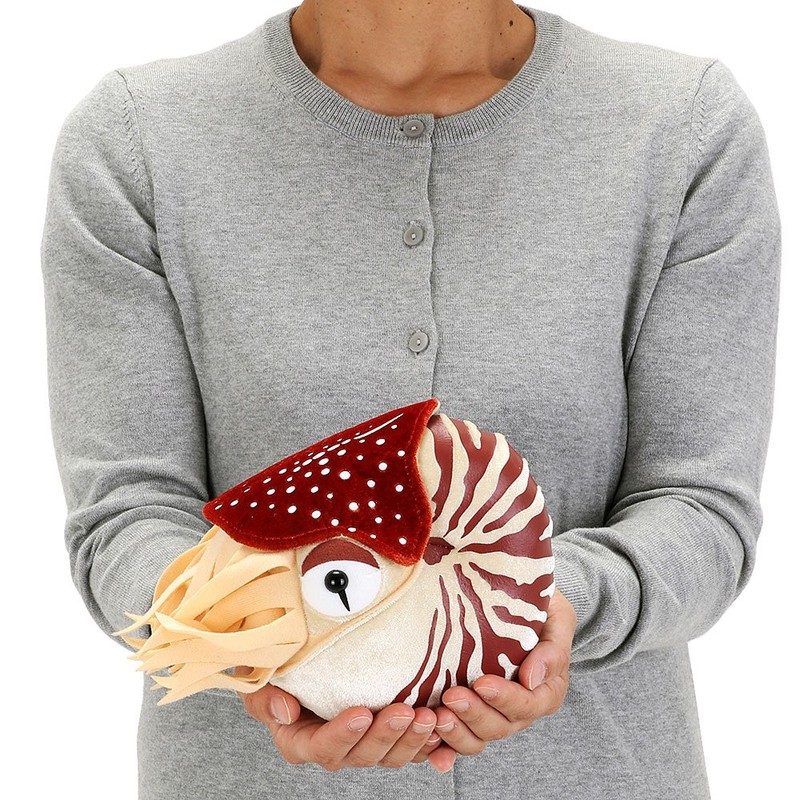 Carolata Nautilus Plush Animal 11cm*16cm*19cm
