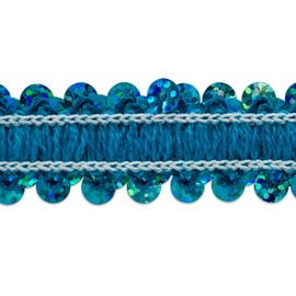 Trims by the Yard 2-Row Starlight Hologram Sequin Stretch Trim, 7/8-Inch Versatile Sequins for Crafts, Durable Sequin Trim for Costumes, Fashion, and Home Decor, 10-Yard Cut, Aqua Blue