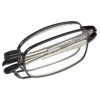 Foster Grant Microvision Folding Reader +2.50 Magnetic Case Retractable Temples