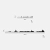 The Line City Skyline Wall Art 19.5" (50 cm) -
