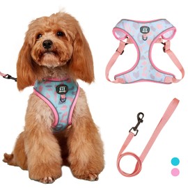 MIDEPET Cat Harness and Leash Set,Escape Proof Safe Adjustable Kitten Vest Harnesses for Walking,Adjustable Cat Vest Harness with Reflective Strap Comfort Fit for Pet Kitten Puppy