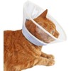 Elizabeth Color Cat Soft Clear Feather Color SL Stripe Blue