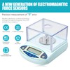 Lab Scale 100g x 0.001g Accuracy - High Precision Laboratory